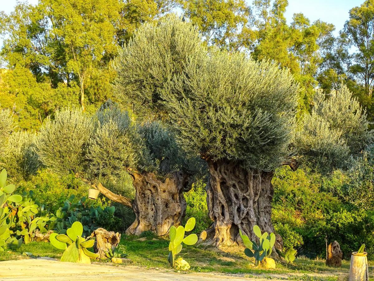 Villa La Lumia B&B Suites & Apartments Agrigento Exterior photo