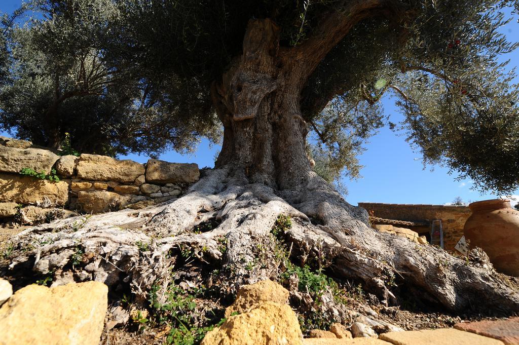 Villa La Lumia B&B Suites & Apartments Agrigento Exterior photo