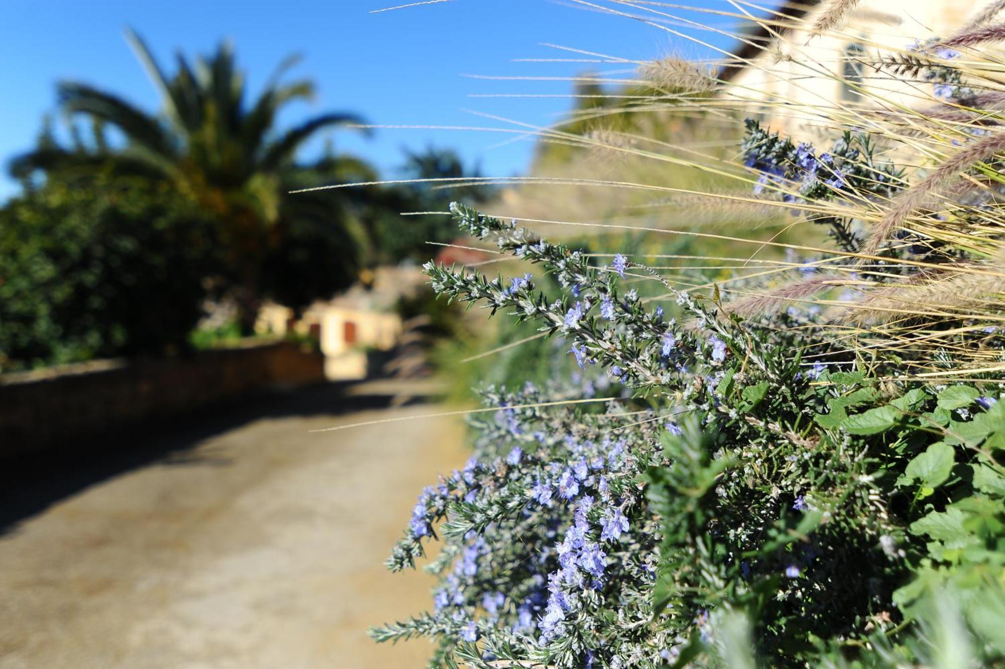 Villa La Lumia B&B Suites & Apartments Agrigento Exterior photo